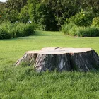 Maatskappy 3 beeld TREE FELLING JOHANNESBURG Tree Felling Or Stump Removal in Johannesburg GP