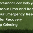 Maatskappy 4 beeld TREE FELLING JOHANNESBURG Tree Felling Or Stump Removal in Johannesburg GP