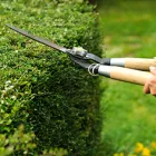 Maatskappy 5 beeld TREE FELLING JOHANNESBURG Tree Felling Or Stump Removal in Johannesburg GP