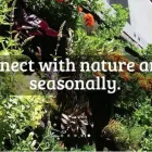 Maatskappy 1 beeld VERTICAL VEG vertical veg in Cape Town WC