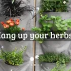 Maatskappy 3 beeld VERTICAL VEG vertical veg in Cape Town WC