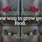 Maatskappy 5 beeld VERTICAL VEG vertical veg in Cape Town WC