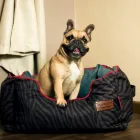 Business 3 image VET EXPRESS Tick and Flea in Edenvale GP