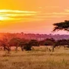 Maatskappy 2 beeld WALL ART STUDIOS (PTY) LTD Supply wallpapper install in Cape Town WC