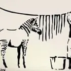 Maatskappy 3 beeld WALL ART STUDIOS (PTY) LTD Supply wallpapper install in Cape Town WC