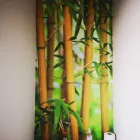 Maatskappy 7 beeld WALLPRINT Wallpapers And Wall Coverings in Cape Town WC