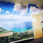 Maatskappy 9 beeld WALLPRINT Wallpapers And Wall Coverings in Cape Town WC