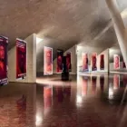 Business 8 image WIANELLE PHOTOGRAPHY Professional Photographer in Cape Town WC