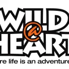 Business 3 image WILD AT HEART ADVENTURE Tyre Repair in Cape Town WC