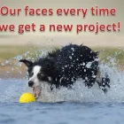 Business 5 image WILDFIRE MEDIA (PTY) LTD Web Hosting in Alberton GP