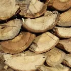 Business 5 image WOOD MONKEYS Sekelbos in Cape Town WC