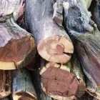 Business 8 image WOOD MONKEYS Sekelbos in Cape Town WC