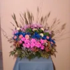 Maatskappy 3 beeld WV FLORIST Weddings in Randfontein GP