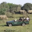 Business 1 image XENON TRAVEL Transfers in Cape Town WC