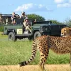 Business 4 image XENON TRAVEL Transfers in Cape Town WC