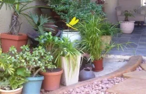 Business 6 image BIG FIVE ACCOMMODATION B&B Self Catered in Edenvale GP