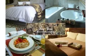 Business 8 image BIG FIVE ACCOMMODATION B&B Self Catered in Edenvale GP