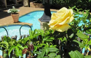 Business 3 image CARMICHAEL GUESTHOUSE Hotel Accommodation in Cape Town WC