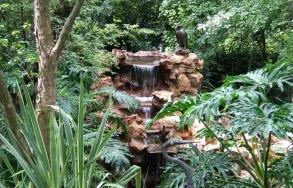 Business 8 image MELLENEY'S EXCLUSIVE GUEST HOUSE Guest Houses in Sandton GP