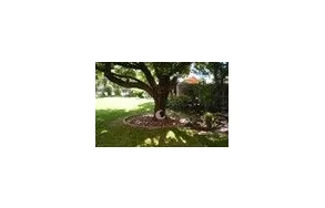 Business 5 image THE MAPLE VILLAGE GUEST LODGE B&B Wifi in Edenvale GP