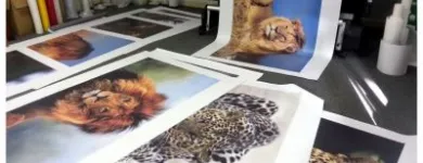 Business 14 image A10TION X Banner in Cape Town WC