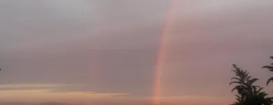 Business 1 image BLUEGUM HILL GUESTHOUSE Warm in Cape Town WC