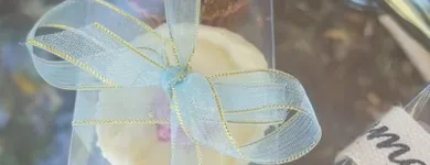 Business 1 image CHOCOLATIER TRUFFLES white chocolate in Bloemfontein FS