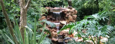 Business 8 image MELLENEY'S EXCLUSIVE GUEST HOUSE Guest Houses in Sandton GP