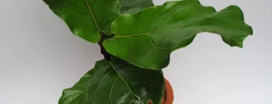 Business 2 image NUNO Interior Designers in Cape Town WC