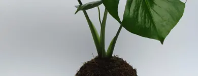 Business 3 image NUNO Interior Designers in Cape Town WC