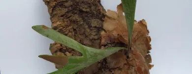 Business 5 image NUNO Interior Designers in Cape Town WC