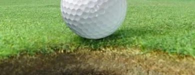 Business 4 image OLIMP Gambling House in Parow WC