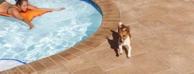 Business 4 image QPAVE Stone Paving in Cape Town WC