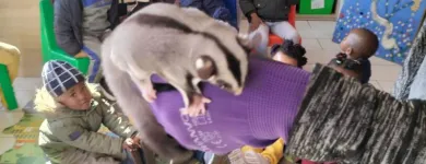 Business 2 image SMARTMINDS ECD CENTRE Preschool in Ekurhuleni GP