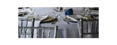 Business 4 image STYLED FUNCTIONS RENTALS Wimbledon Chair in Cape Town WC