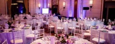 Business 6 image STYLED FUNCTIONS RENTALS Wimbledon Chair in Cape Town WC