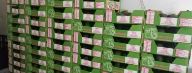 Business 1 image TOP CLASS FRUIT & VEG Wholesale in Somerset West WC