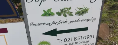 Business 4 image TOP CLASS FRUIT & VEG Wholesale in Somerset West WC