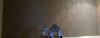 Business 7 image WALTCO (PTY) LTD. Walls in Edenvale GP