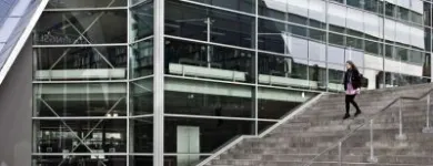 Business 4 image WIANELLE PHOTOGRAPHY Professional Photographer in Cape Town WC