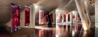 Business 8 image WIANELLE PHOTOGRAPHY Professional Photographer in Cape Town WC