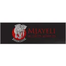 MJAYELI SECURITY System Design Software in Sandton GP