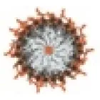 BOHEMIAN LOFTS BACKPACKERS