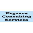PEGASUS CONSULTING SERVICES