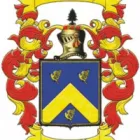 PINFOLD INSURANCE BROKERS CC