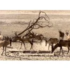 GARDEN ROUTE NATIONAL PARK (WILDERNESS SECTION)