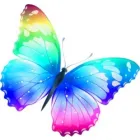 BUTTERFLY INFANT CARE